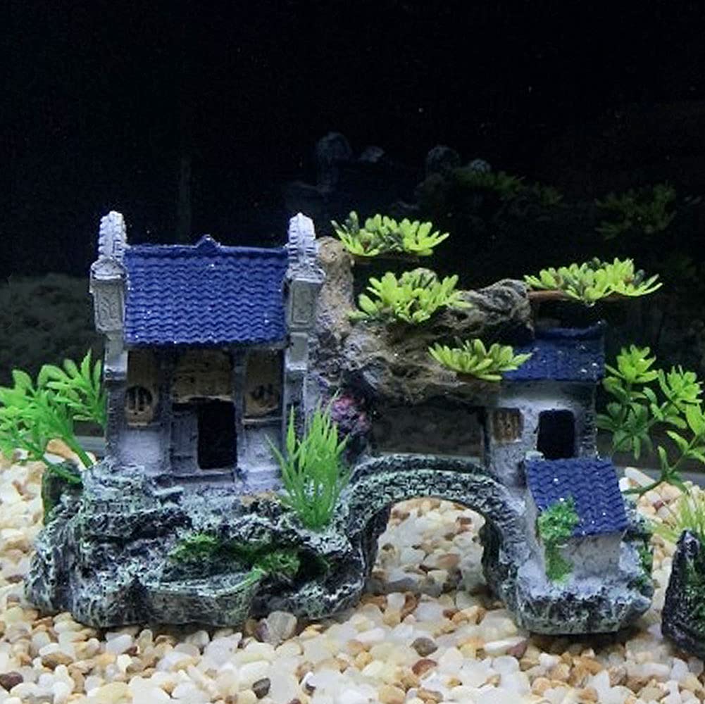 IBWell empaque cuidadoso, envío seguro y completo para tu acuario.