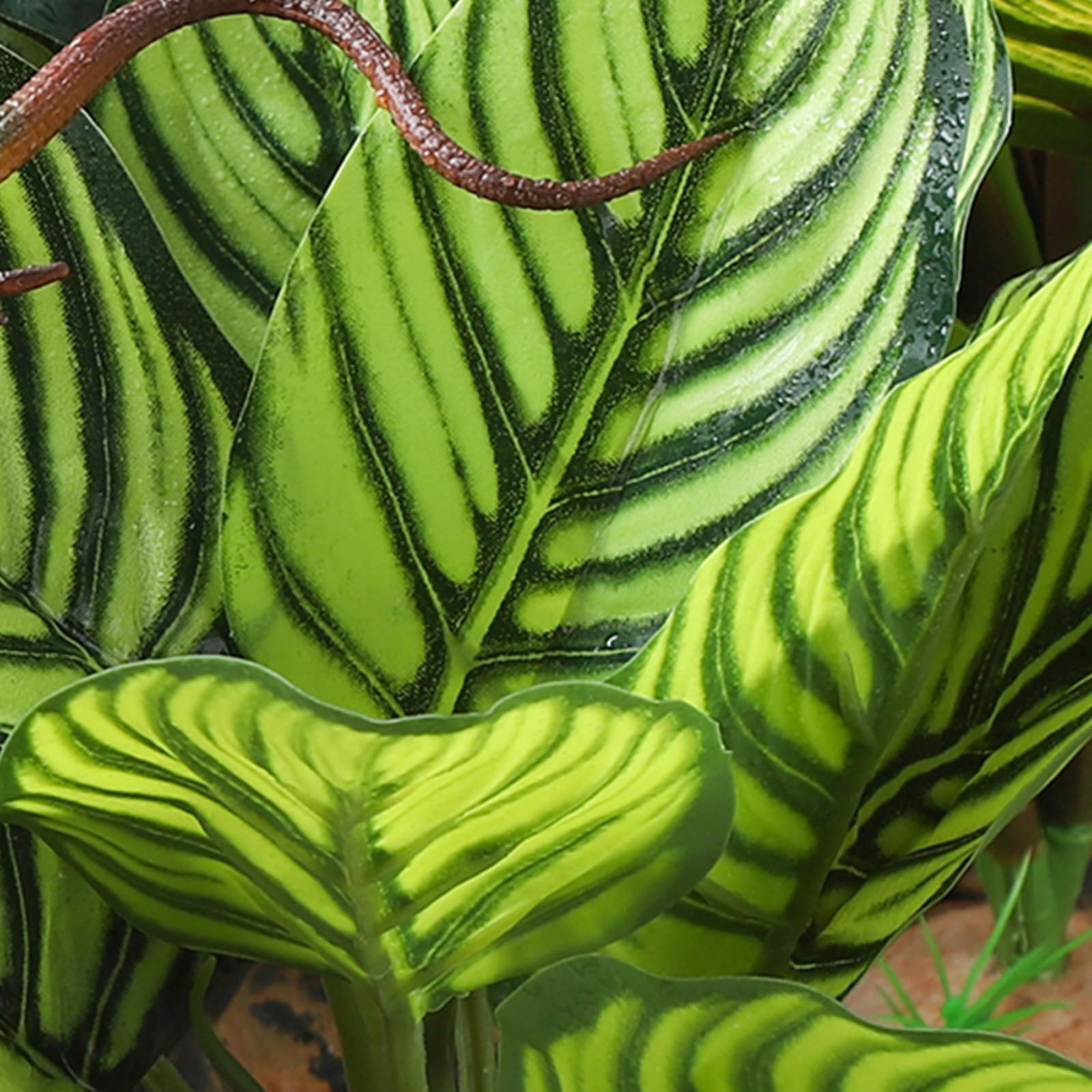IBWell planta para pitón bola crea cobertura realista en terrario.