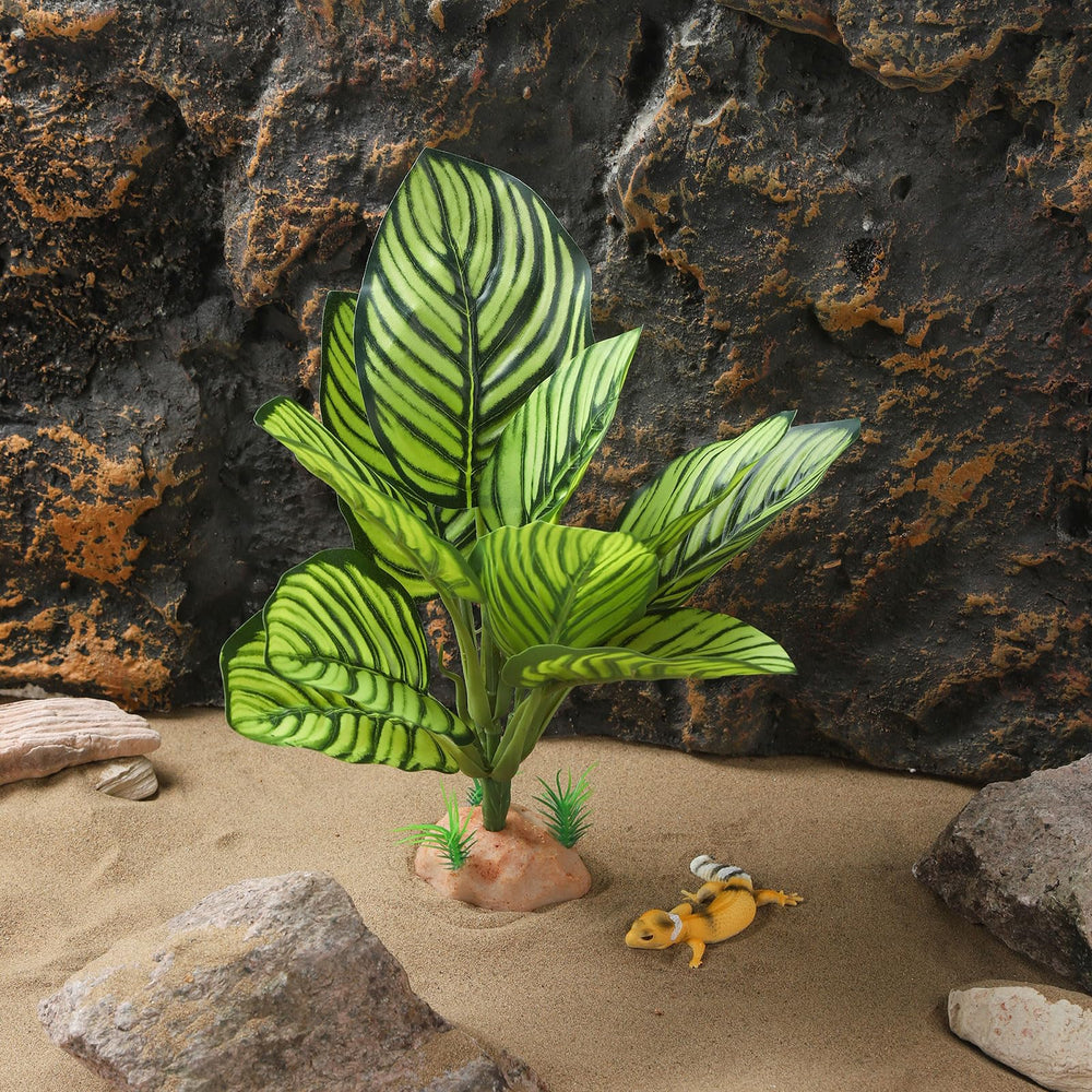 IBWell planta Calathea Makoyana A aporta color suave y natural.