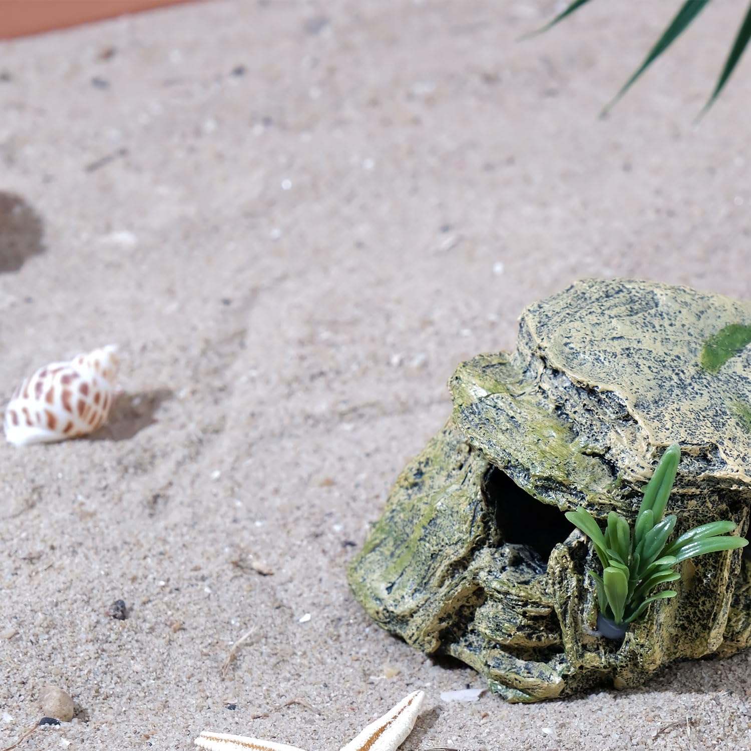 IBWell plataforma de descanso para reptiles dentro del terrario.
