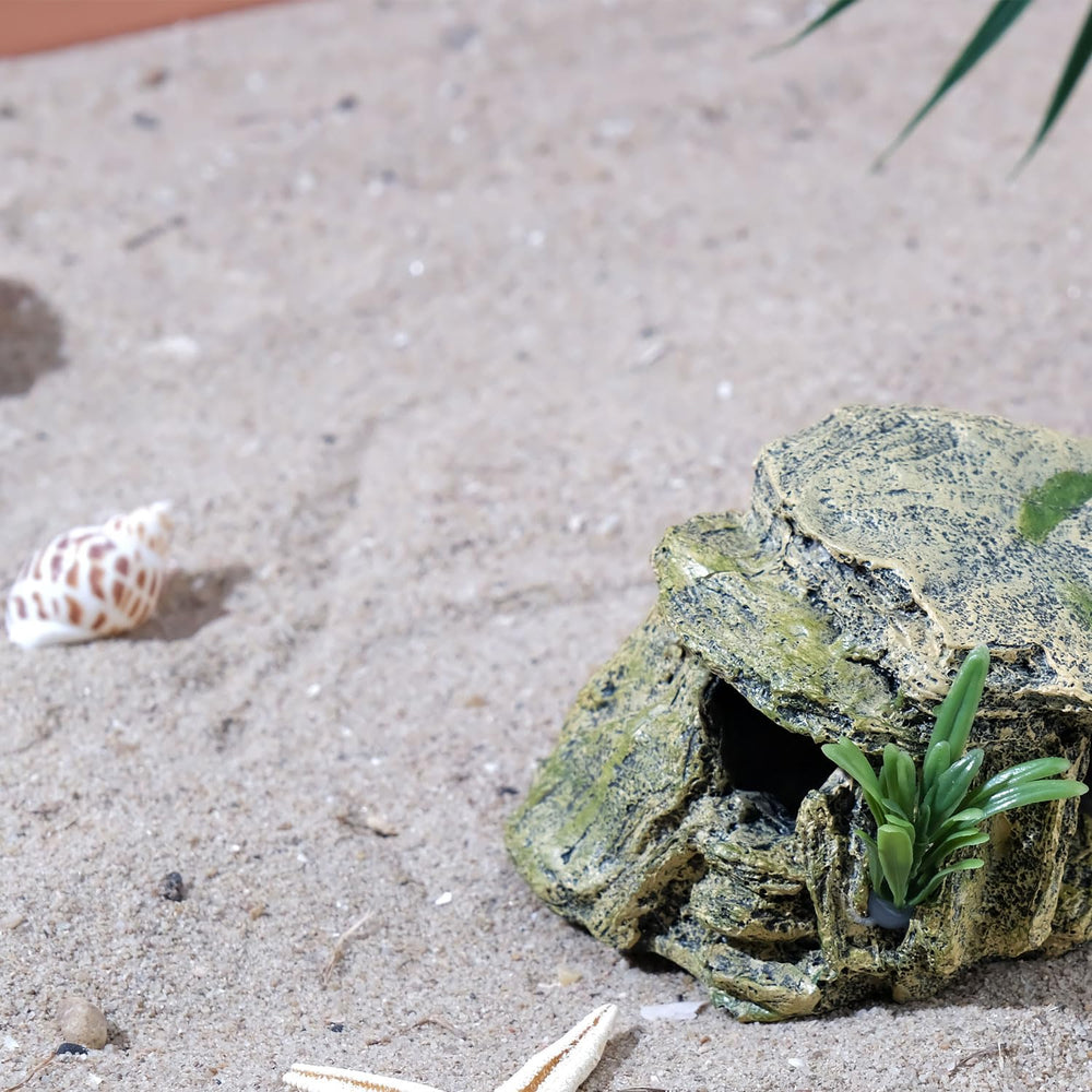 IBWell plataforma de descanso para reptiles dentro del terrario.