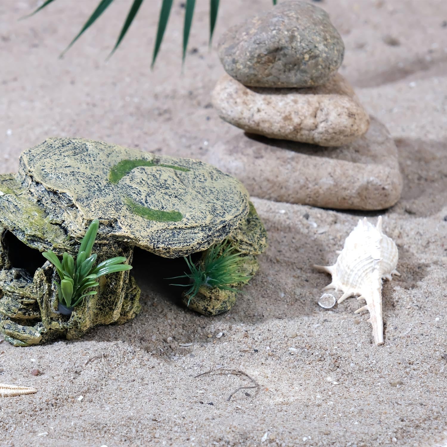 IBWell regalo perfecto para amantes de reptiles.