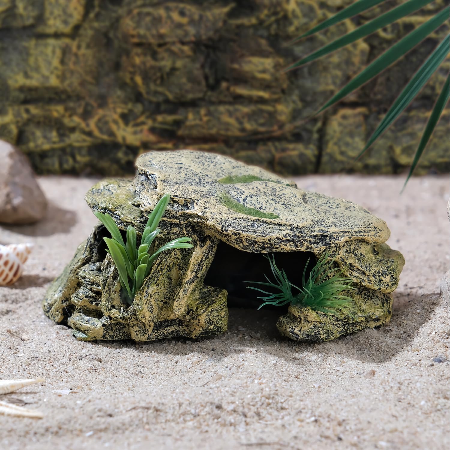 IBWell tamaño ideal para reptiles pequeños como geckos.