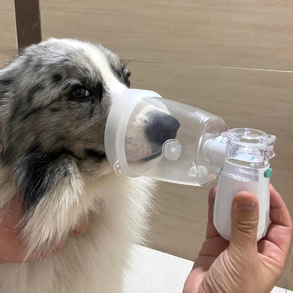 ICARE-PET nebulizador-operacion-silenciosa, sesiones tranquilas para mascotas nerviosas.