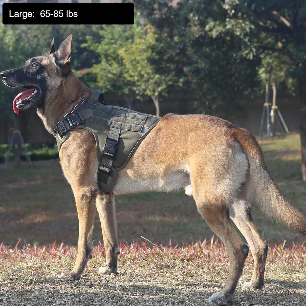 ICEFANG arnés táctico con paneles MOLLE para accesorios de entrenamiento