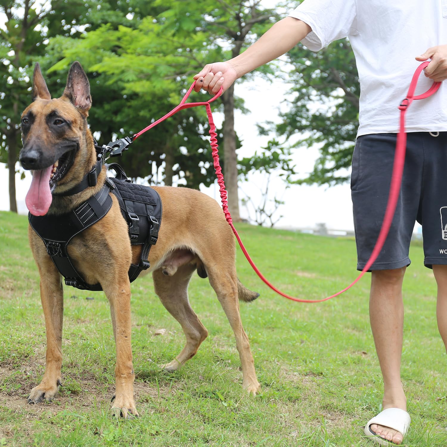 ICEFANG correa táctica para perro, asa trasera para caminatas cómodas.