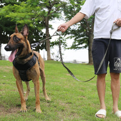 Icefang doble asa para mayor precisión al controlar al perro.