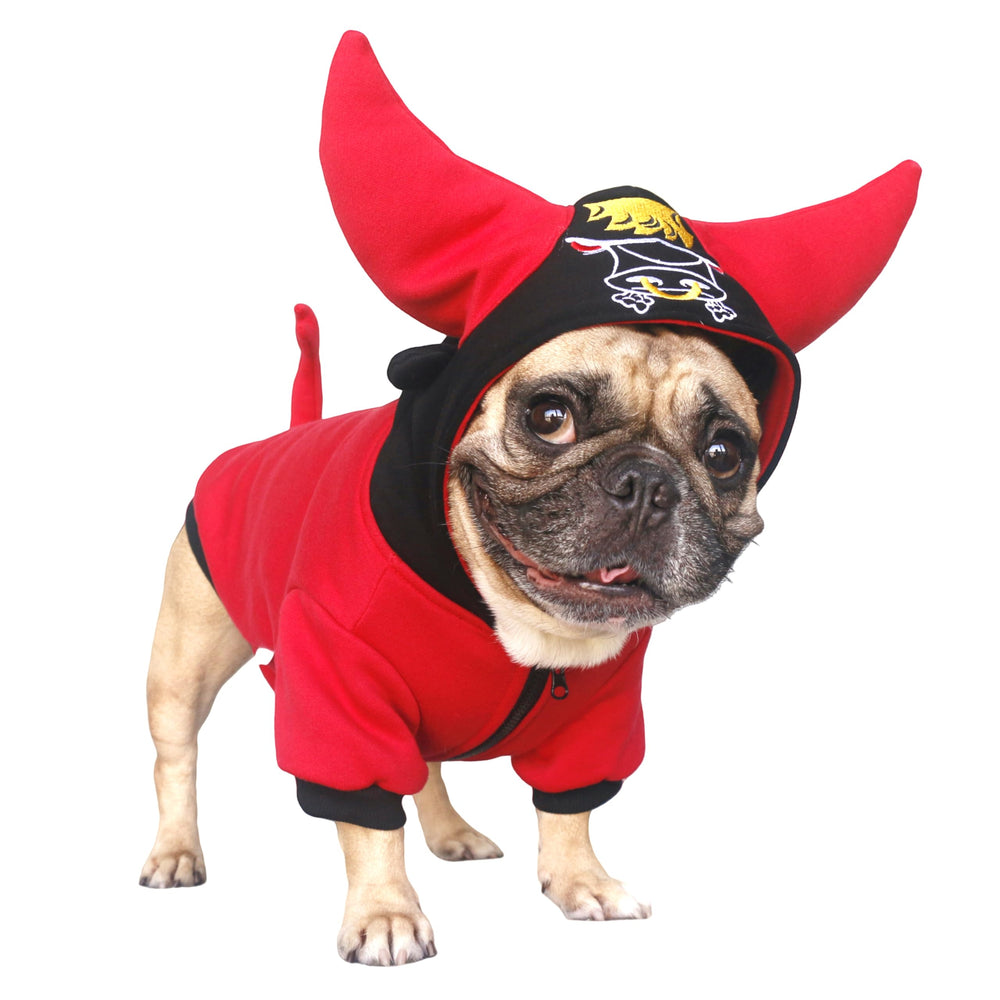 iChoue cuerno de búfalo en disfraz de perro para Halloween