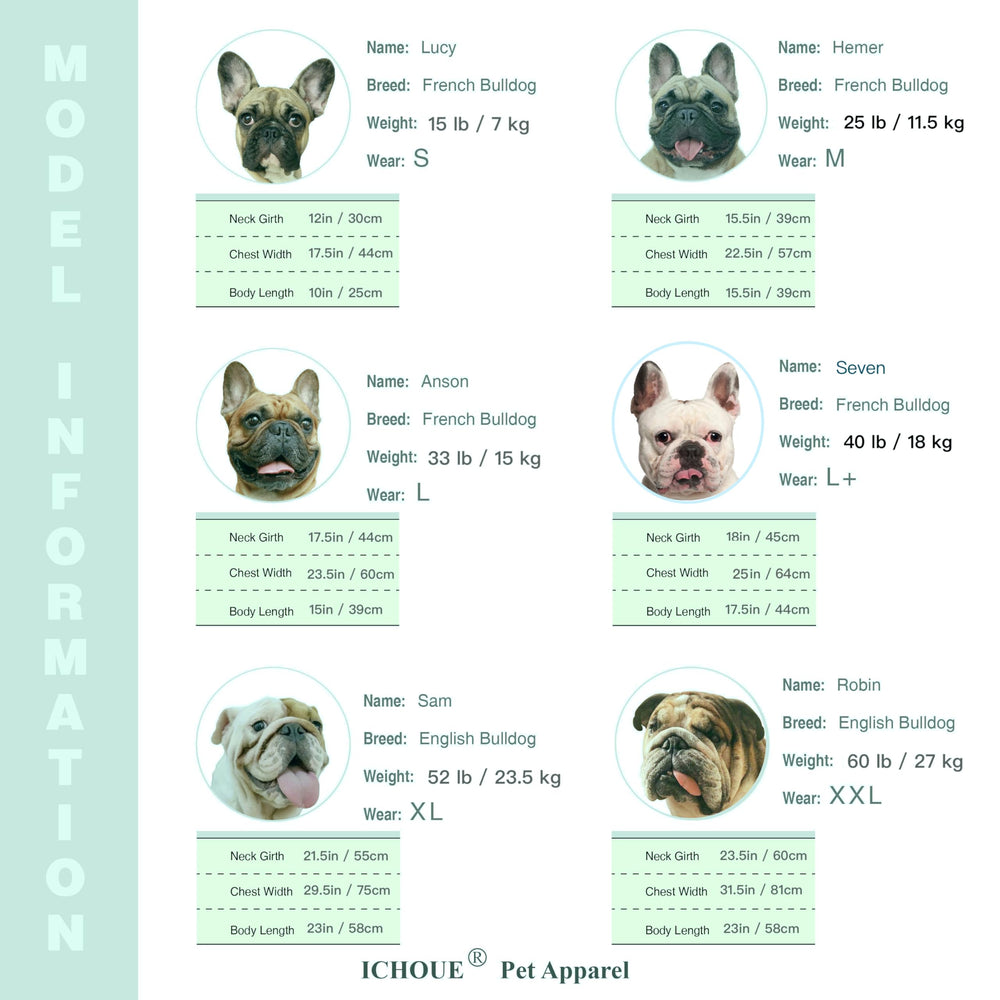 iChoue tallas disponibles para bulldog francés y otros perros de complexión similar