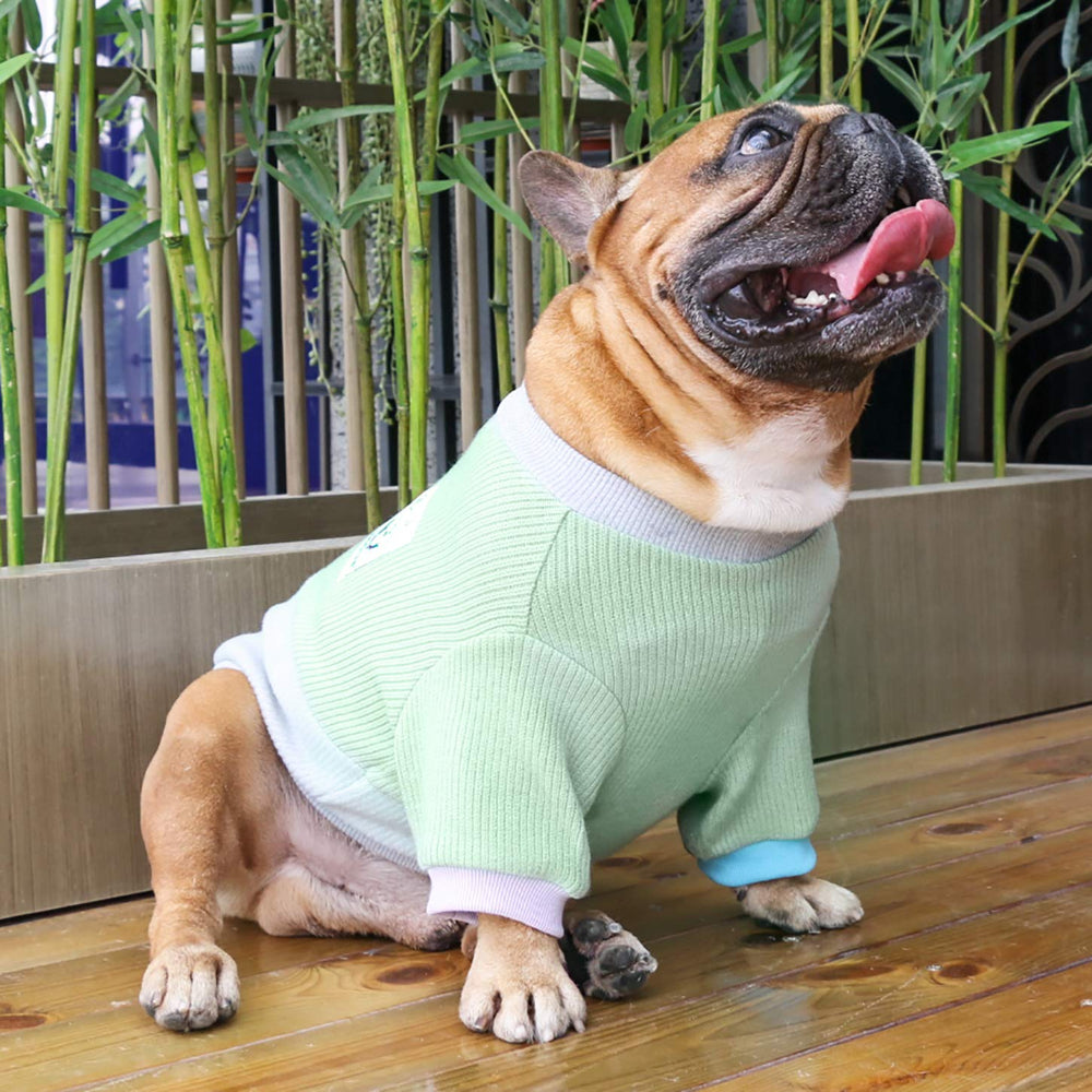 iChoue prenda de punto para perros con acabado artesanal para mayor durabilidad.