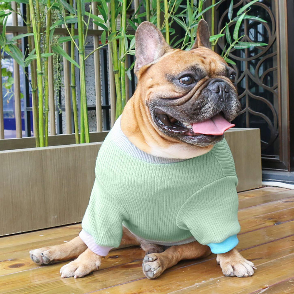 iChoue sudadera canina tejido de poliéster suave y punto artesanal.