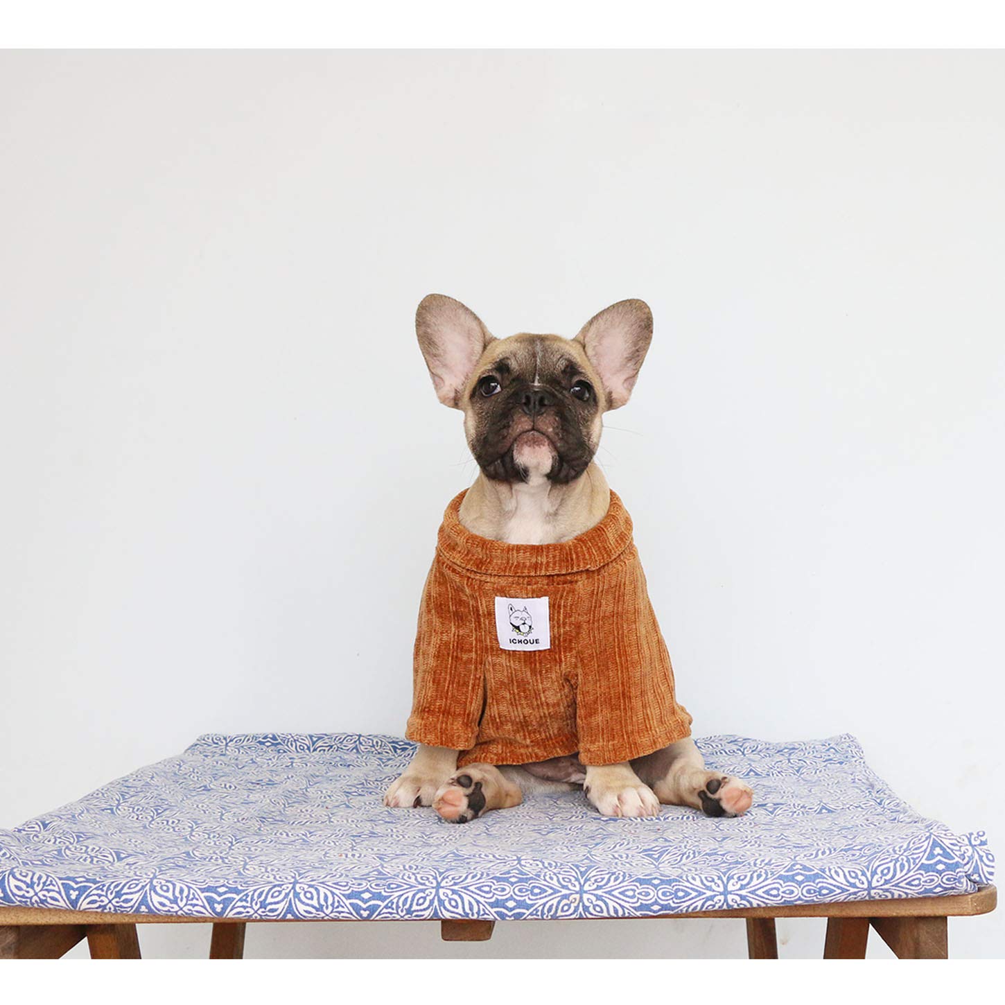Ajuste talla XL de iChoue para bulldog inglés y razas grandes.