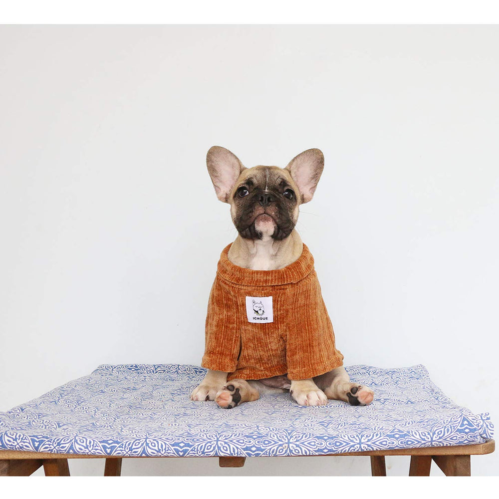 Ajuste talla XL de iChoue para bulldog inglés y razas grandes.