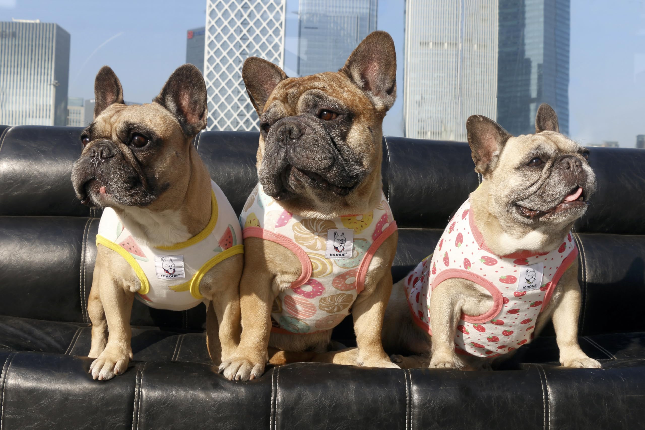 iChoue camiseta para perros, fácil de poner y quitar.