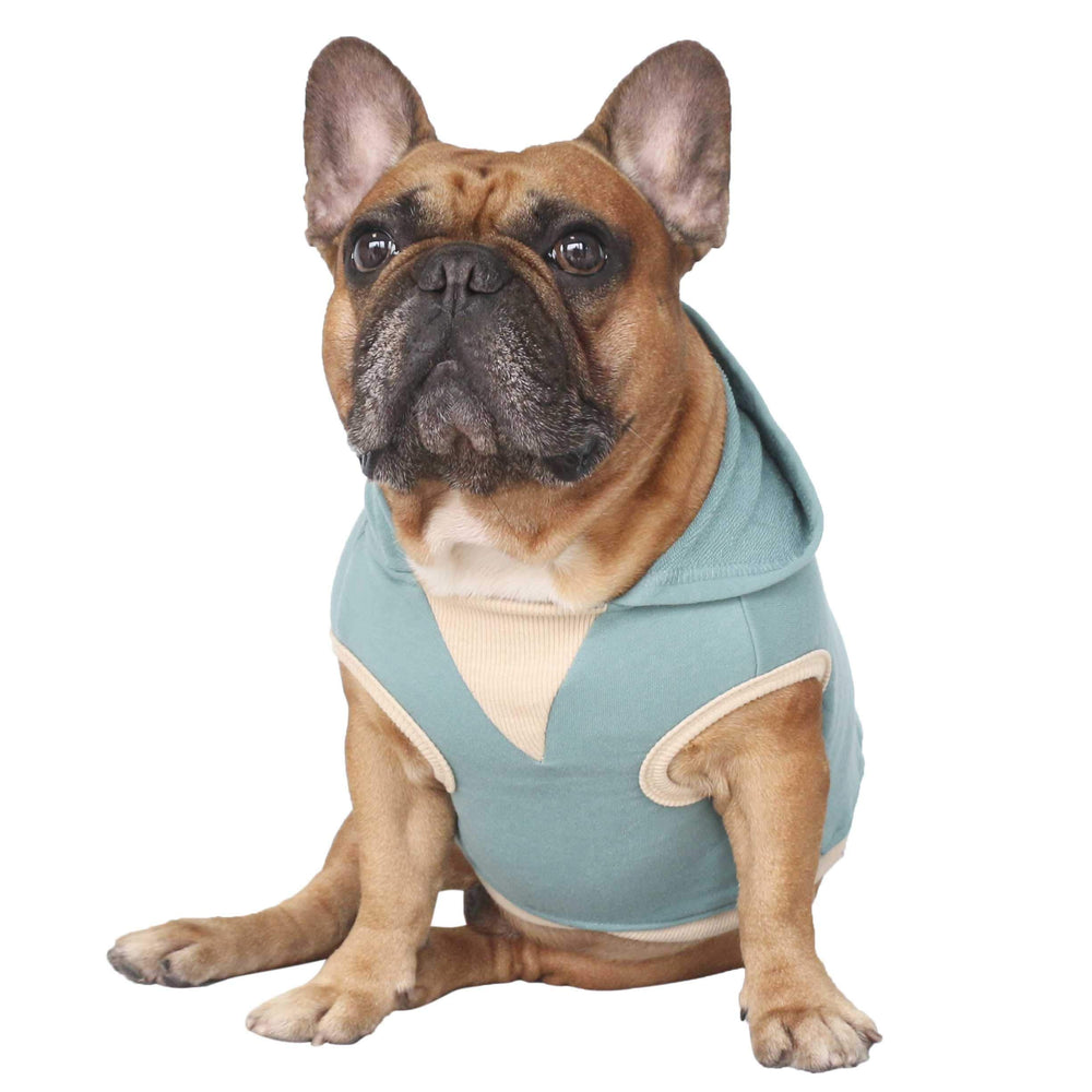 Ichoue diseño fácil de ponerse para perro, salida rápida a caminar.