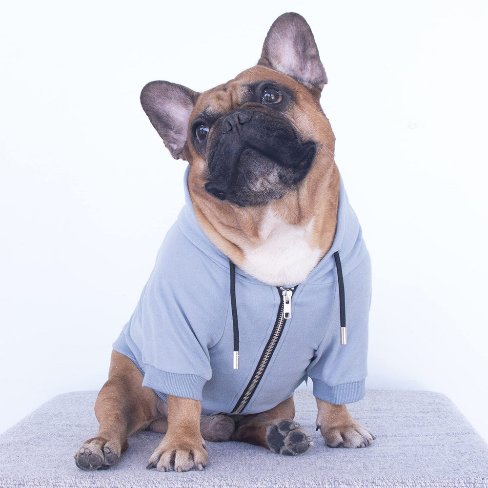 iChoue sudadera con cierre-ykk, cierre suave y duradero para perros