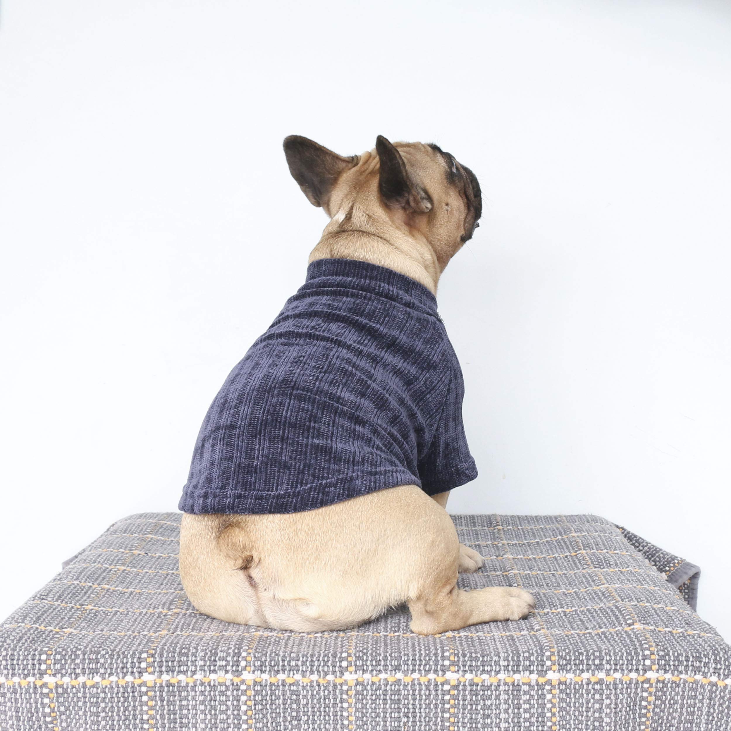 iChoue guía de tallas disponible para talla XL de Bulldog.
