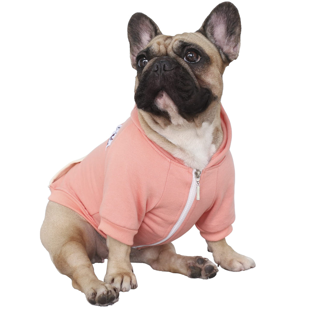 IChoue modelo de perro Bulldog Francés con sudadera suave