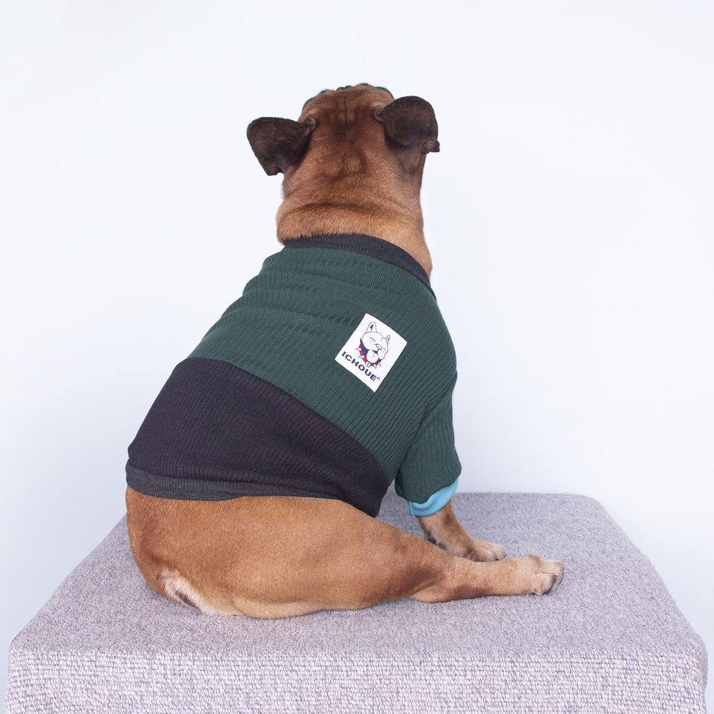 iChoue diseño de color bloque para perro, aporte estilo y abrigo ligero.