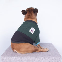 iChoue diseño de color bloque para perro, aporte estilo y abrigo ligero.