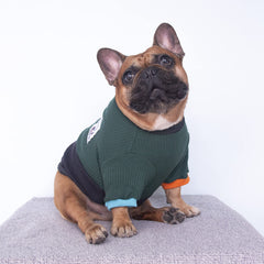 iChoue sudadera fácil de poner para perros de pecho ancho y cuello flexible.