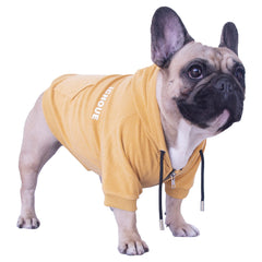 IChoue sudadera con capucha para perros — vista frontal, suave y cómoda.