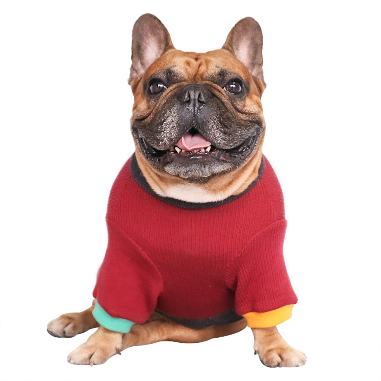 iChoue sudadera perro ajuste extensible cuello, fácil de poner y quitar.