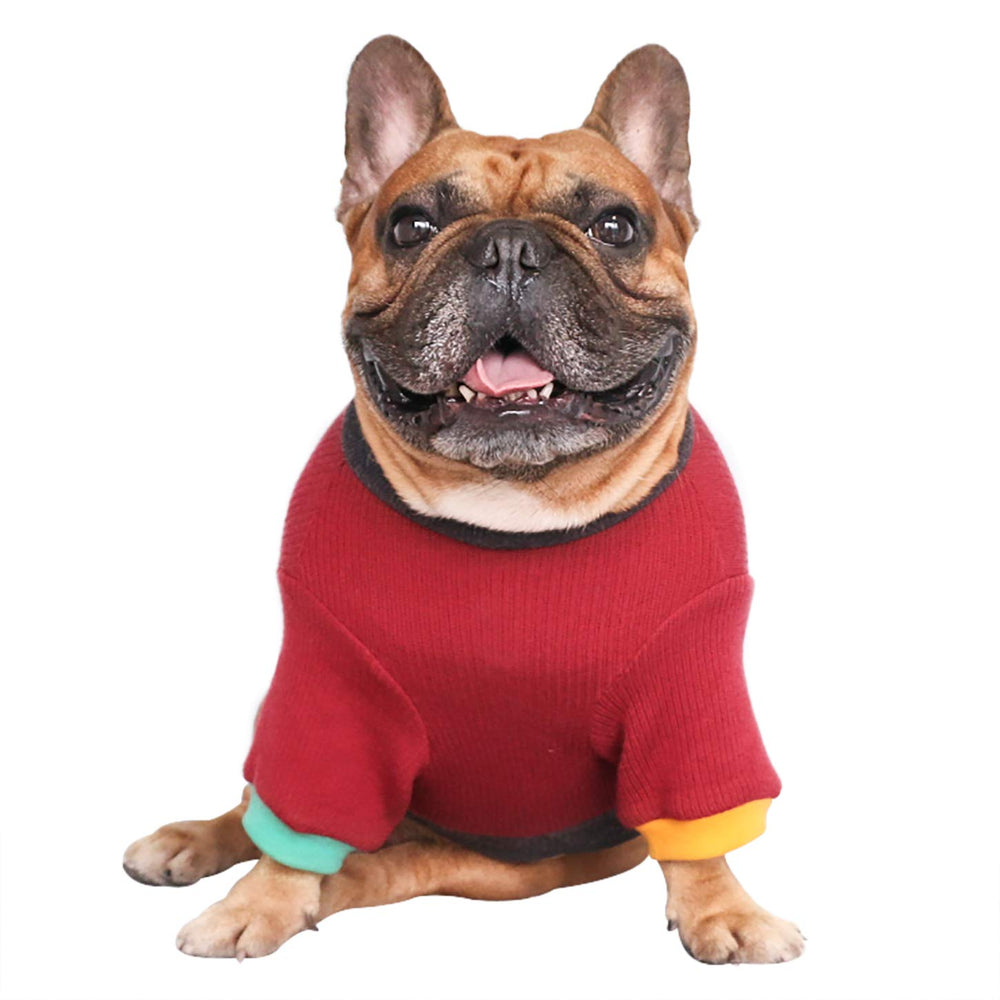 iChoue sudadera perro ajuste extensible cuello, fácil de poner y quitar.
