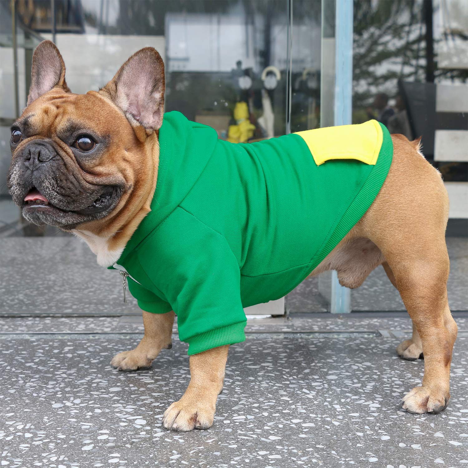 iChoue sudadera bulldog frances verde estilo moderno para salidas
