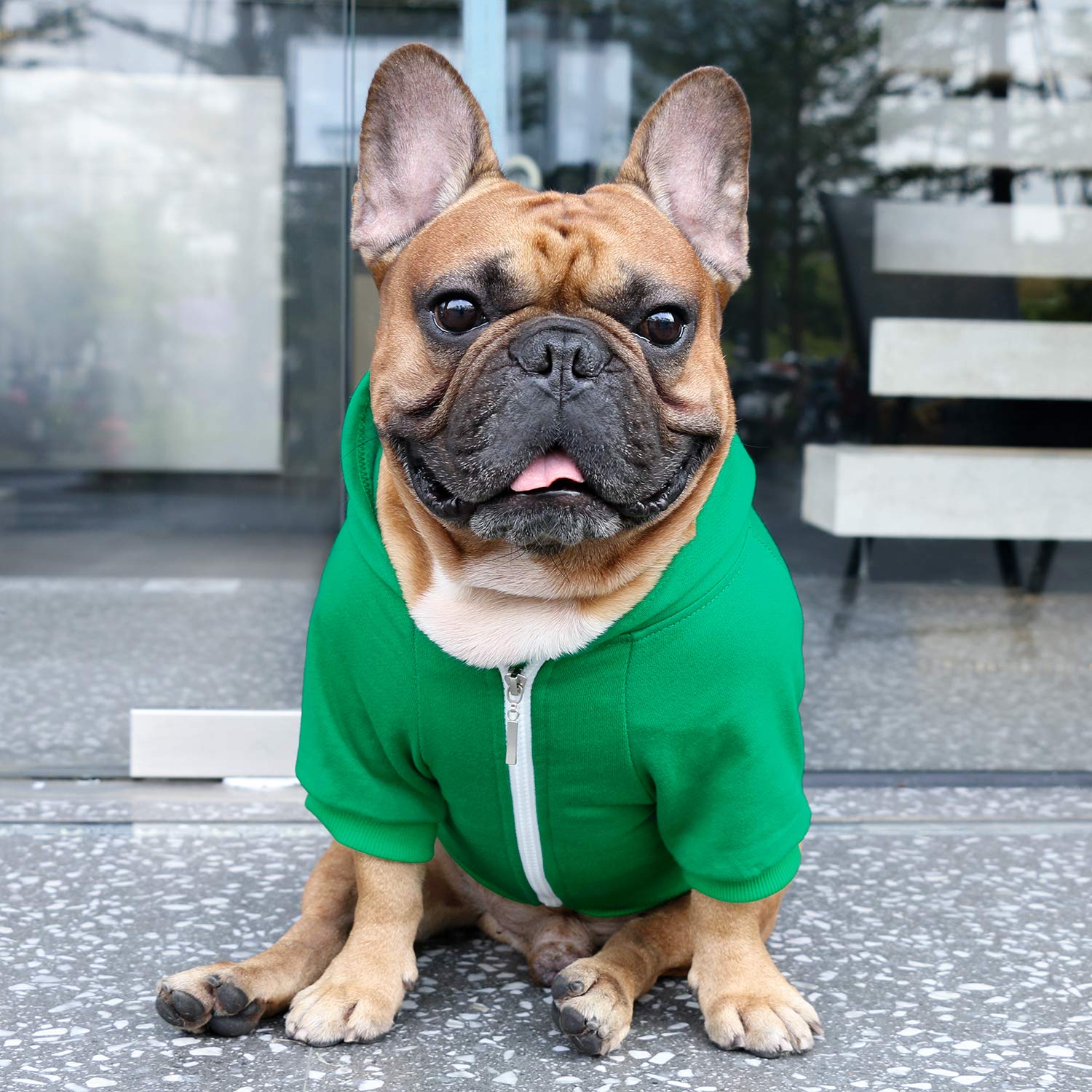 iChoue sudadera bulldog frances tela suave ideal para piel sensible
