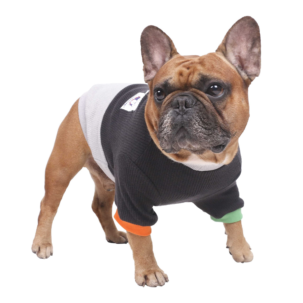 Ichoue sudadera perro cuello redondo color block para perros de pecho amplio.