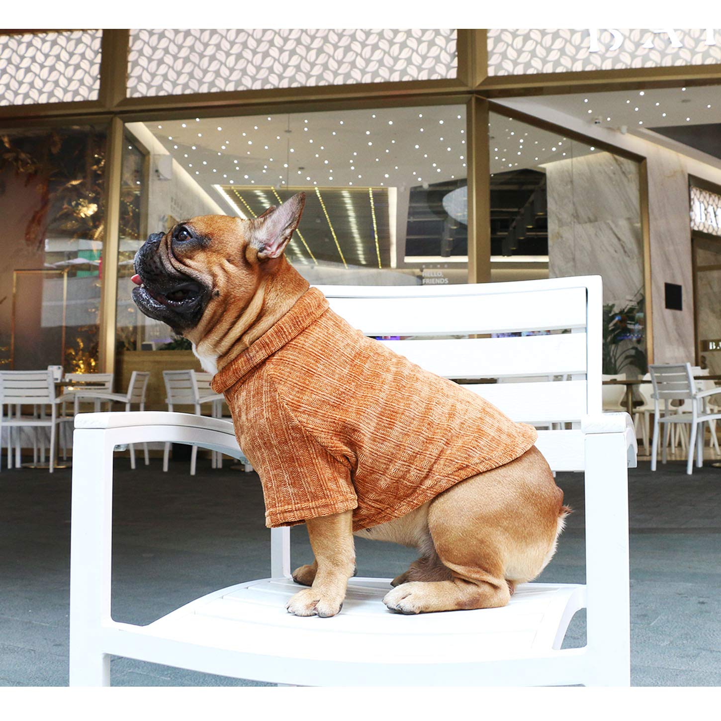 iChoue sudadera para perro, lavado a máquina en frío para cuidado fácil.