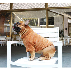 iChoue sudadera para perro, lavado a máquina en frío para cuidado fácil.
