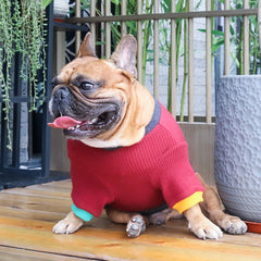 iChoue sudadera perro tejido artesanal, elaboración cuidadosa y duradera.