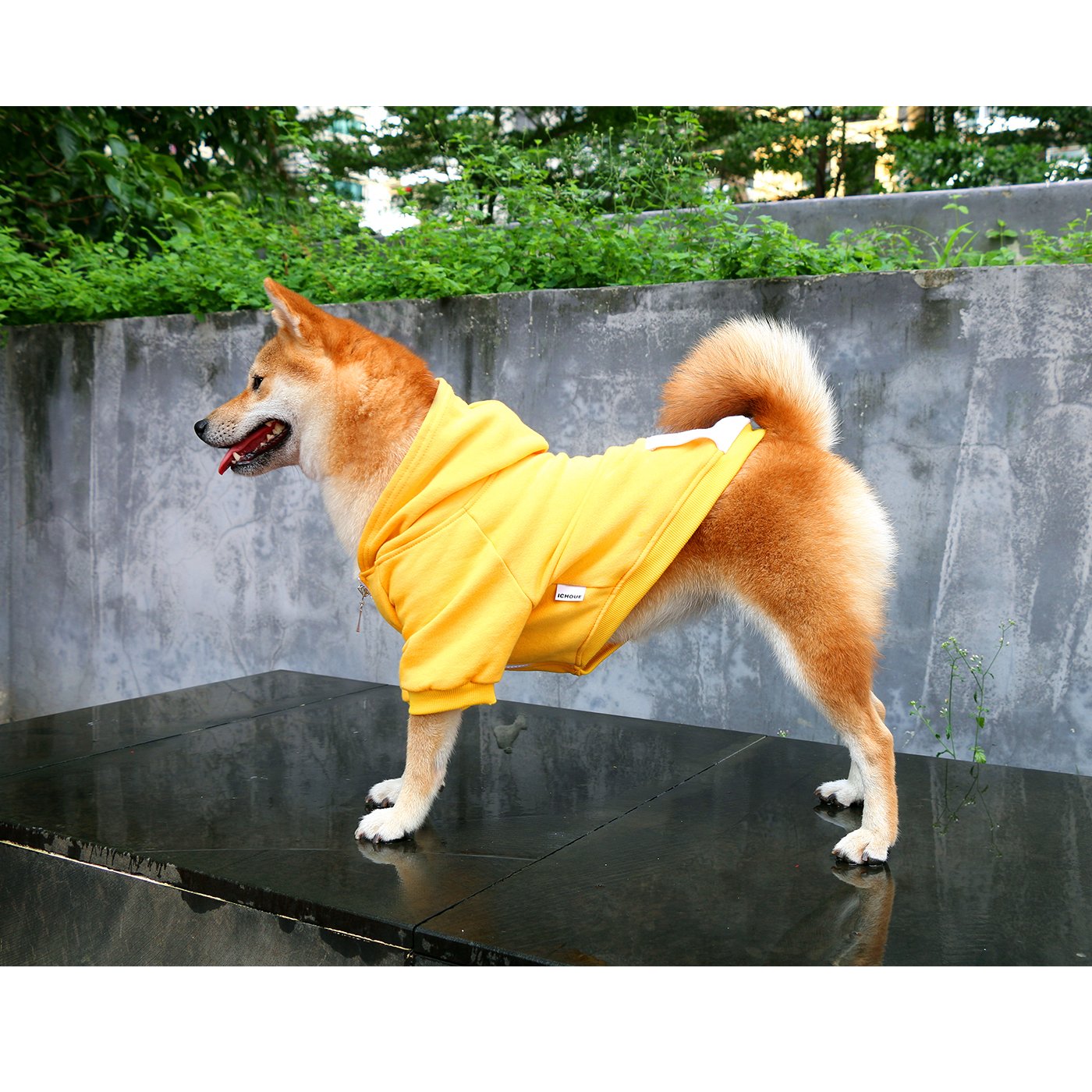 ICHOUE sudadera amarilla para paseos y uso en casa.