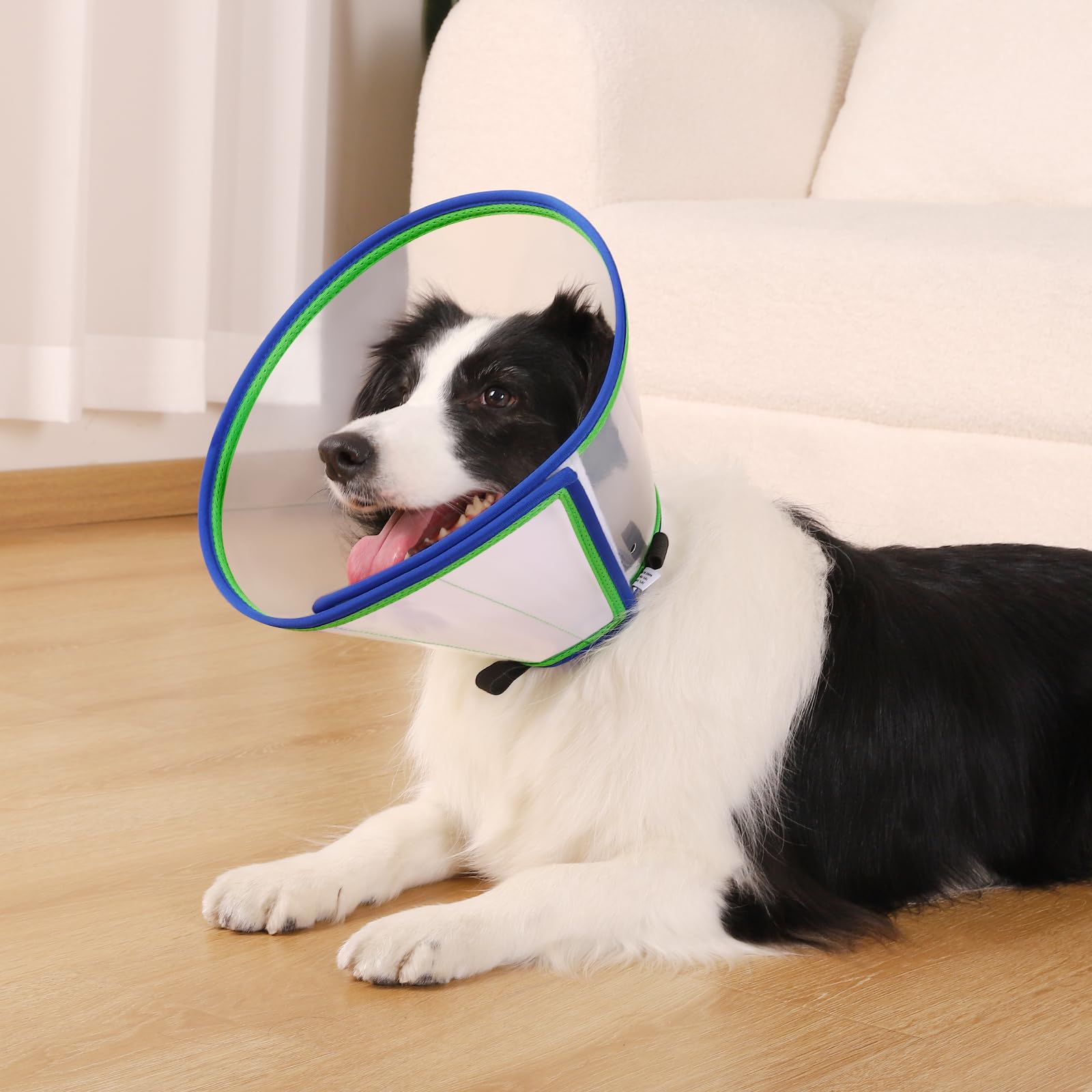 ICOYEA collar de recuperación en uso: protege heridas durante la recuperación.