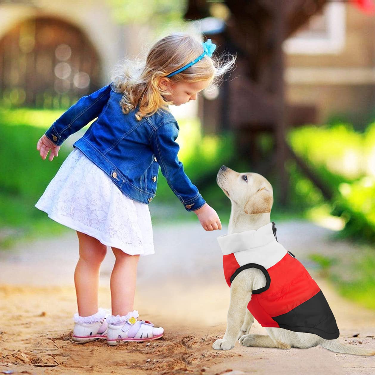Idepet abrigo para mascota diseño de dos patas con cremallera fácil de poner.