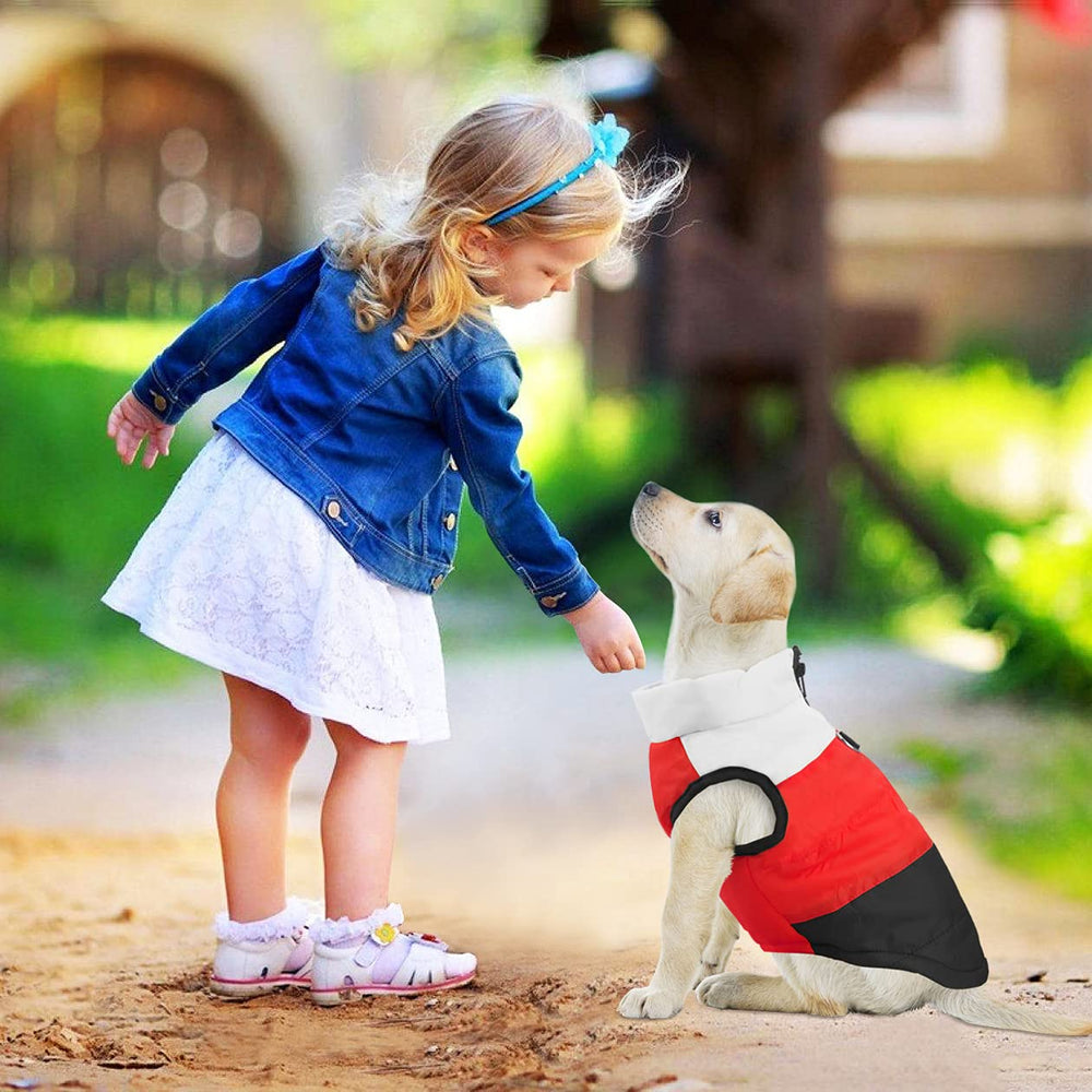 Idepet abrigo para mascota diseño de dos patas con cremallera fácil de poner.