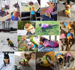 Idepet capa para perro con cremallera fácil de poner, practicidad diaria