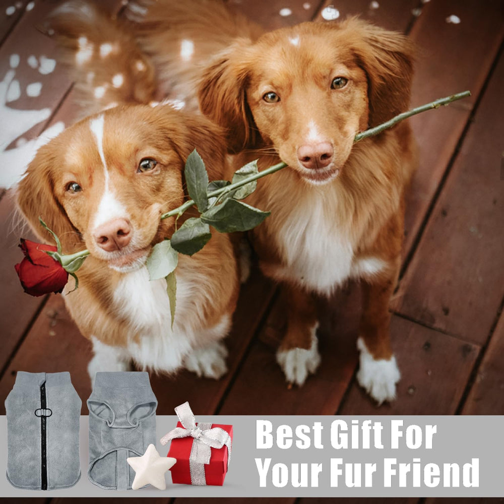 Idepet chaleco perro gris talla XS para perros pequeños.