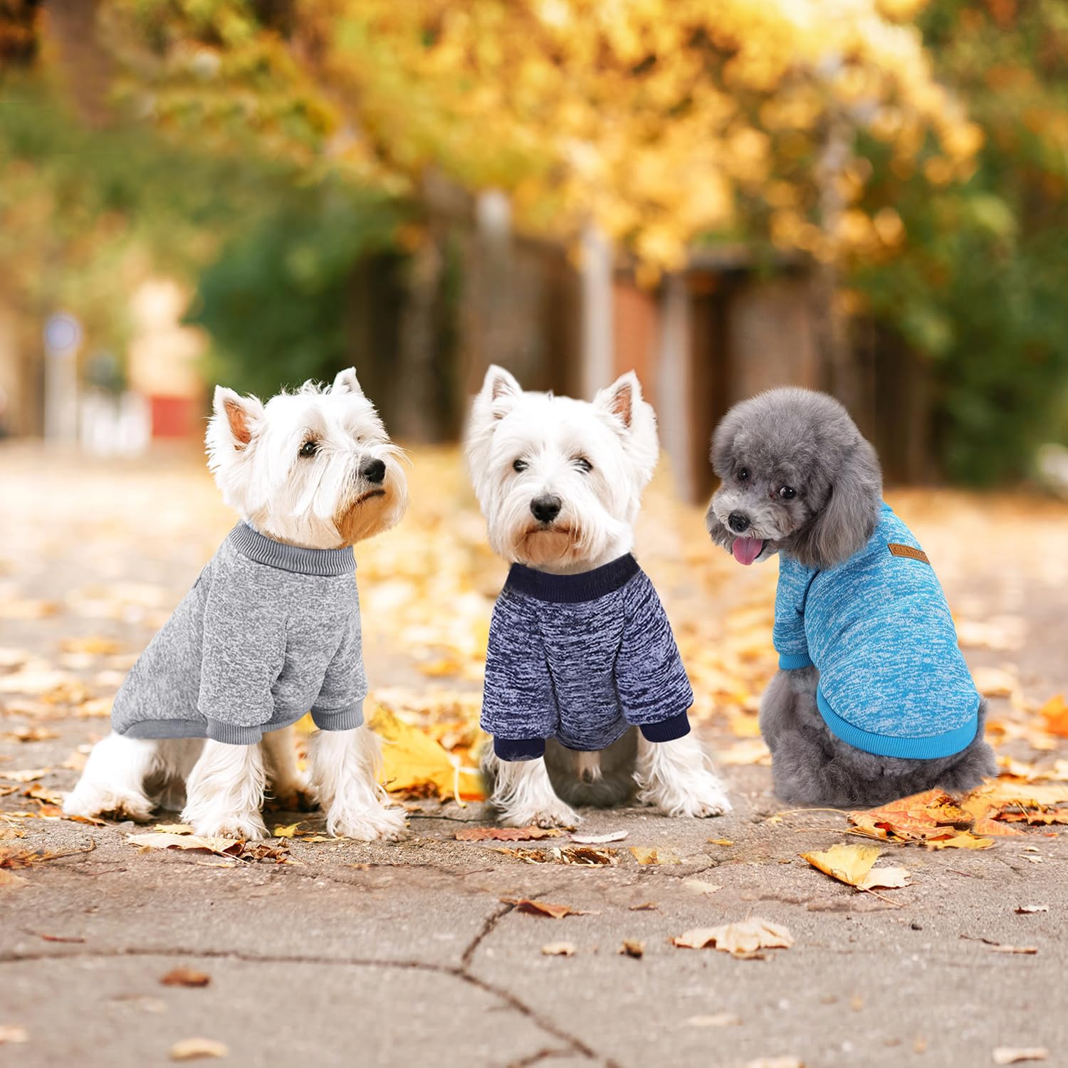 Idepet conjunto 3 piezas para perro, lavado fácil y mantenimiento sencillo