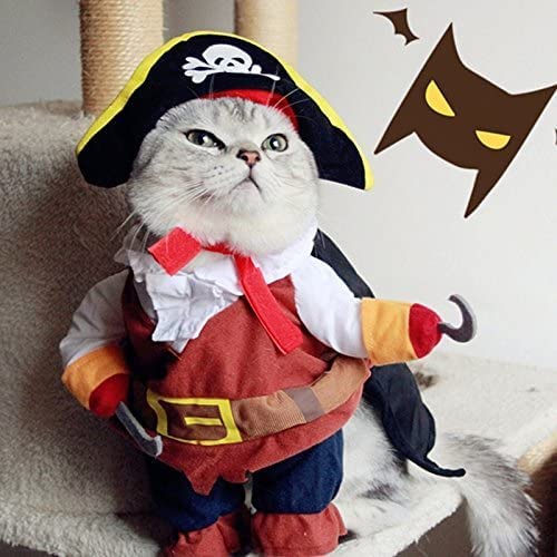 Idepet conjunto pirata para mascota, cómodo y divertido para uso diario o fiestas.
