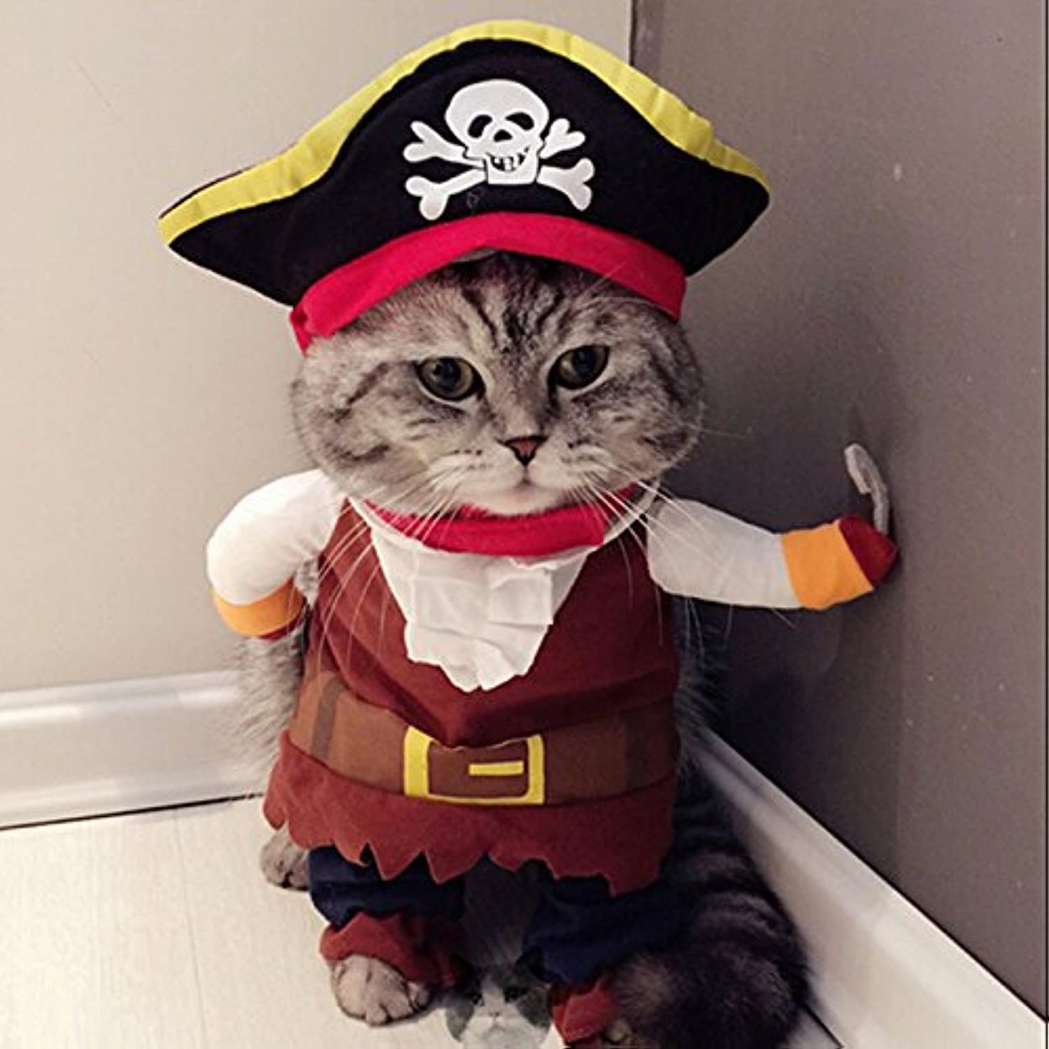 Idepet disfraz pirata para mascotas con sombrero, ideal para fiestas y sesiones de fotos.