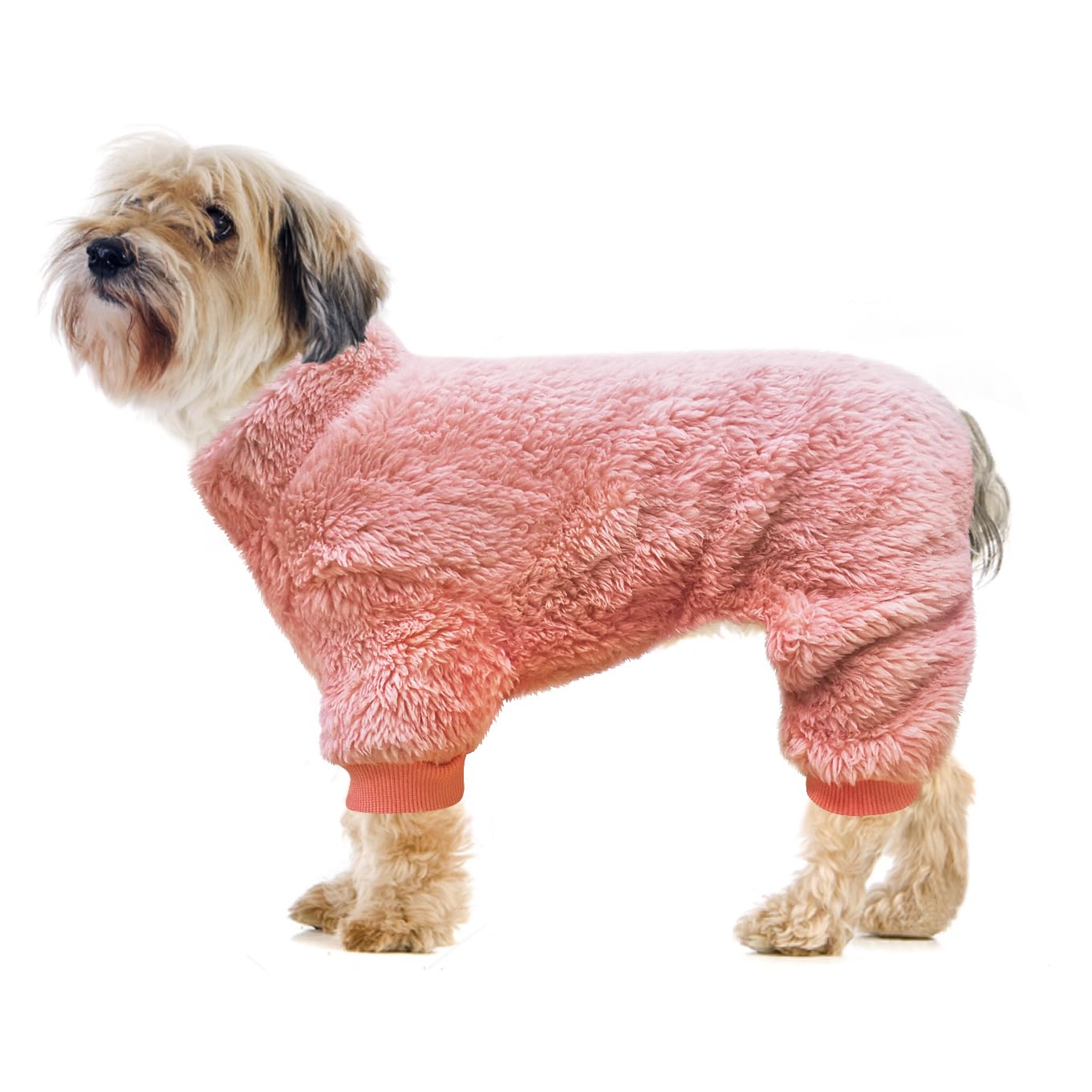 Idepet pijama ligero y cómodo, ideal para salidas o sesiones de fotos.