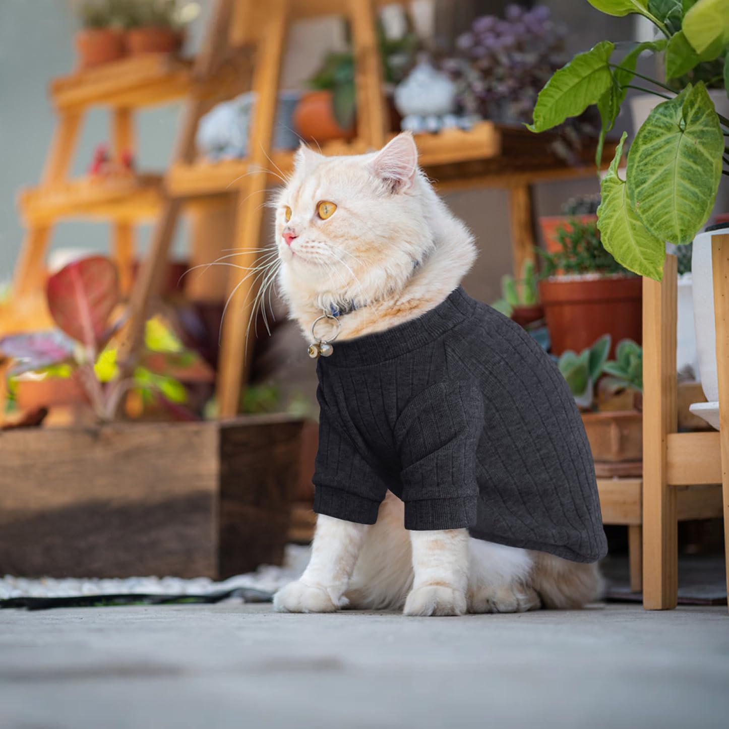 Idepet ropa de invierno, cómodo en todas las estaciones