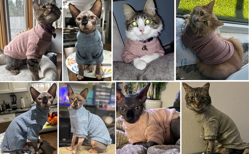 Idepet Sphynx Sweater azul, uso diario cómodo para gatos y perros pequeños.