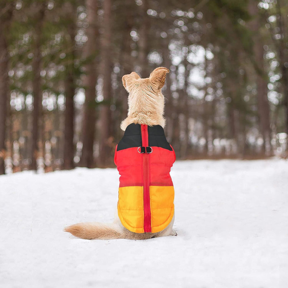 Idepet tallas XS a XXL, se adapta a mascotas pequeñas.