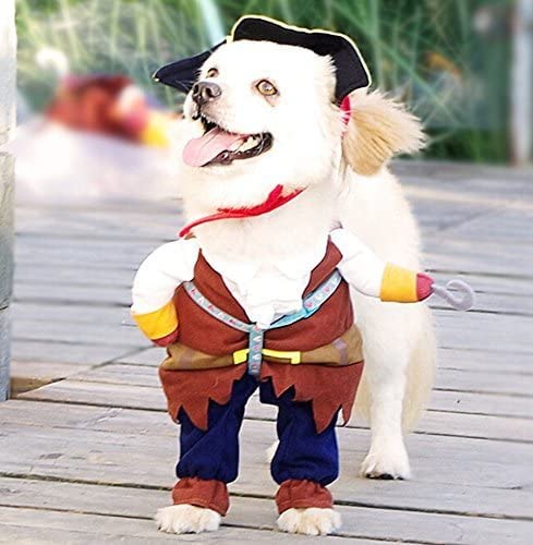 Idepet traje pirata para mascotas, perfecto para sesiones de fotos divertidas.