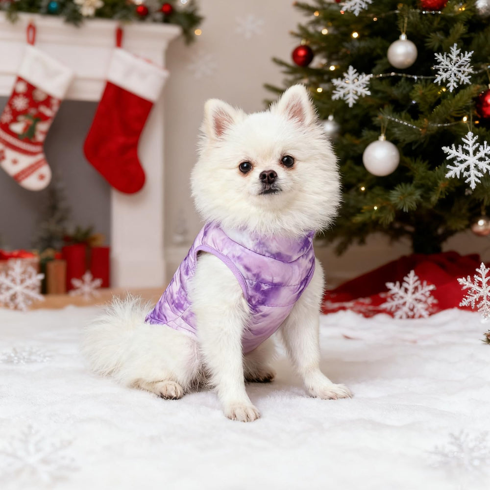 Idepet disponible en XS a XX-Large para perros y gatos pequeños.