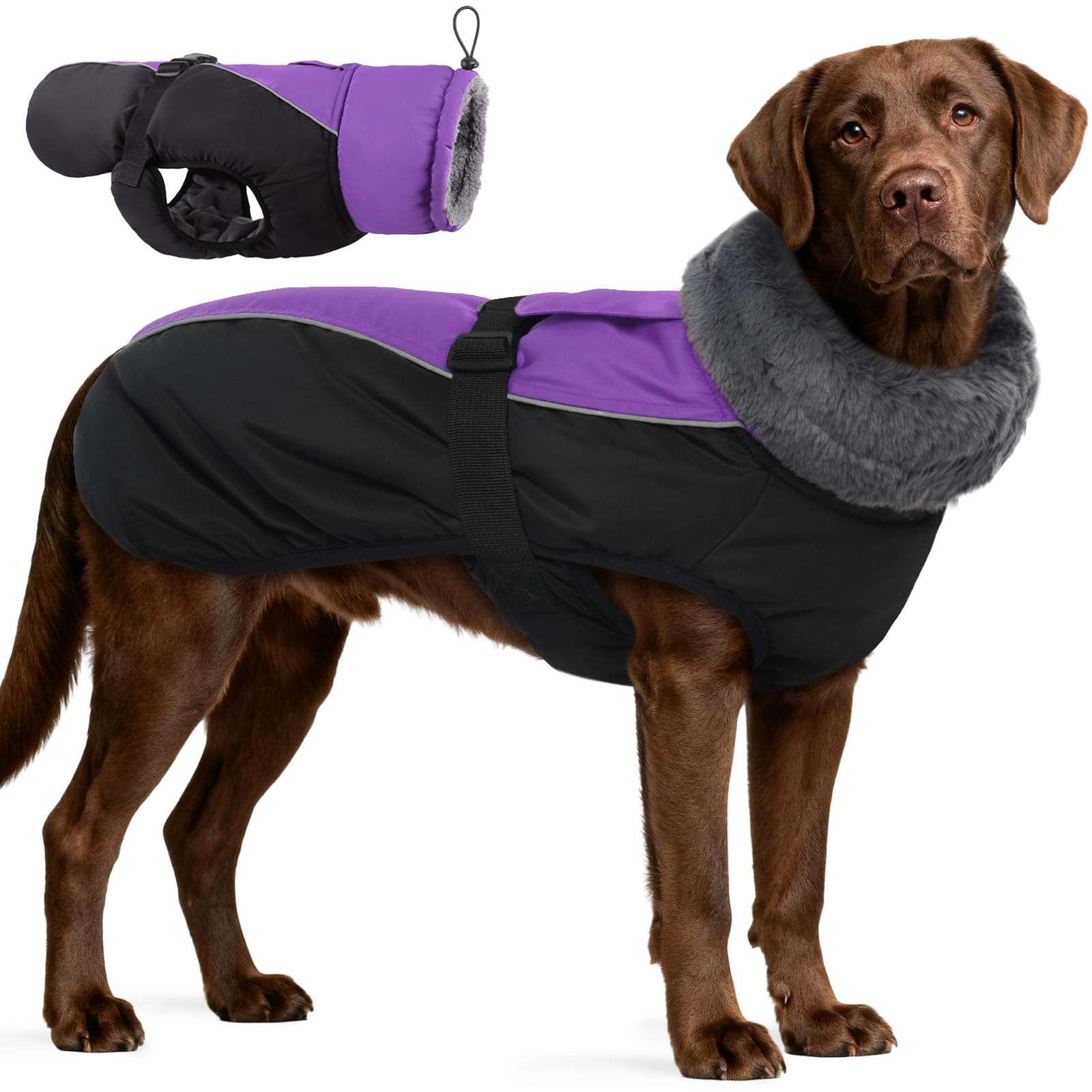 IDOMIK capa invierno para perros, resistente al agua para días de lluvia.